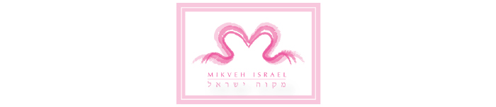 Cardknox - Mikvah Israel